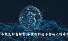 比特币钱包种类解析：如何选择适合你