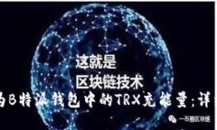 如何为B特派钱包中的TRX充能量：详细