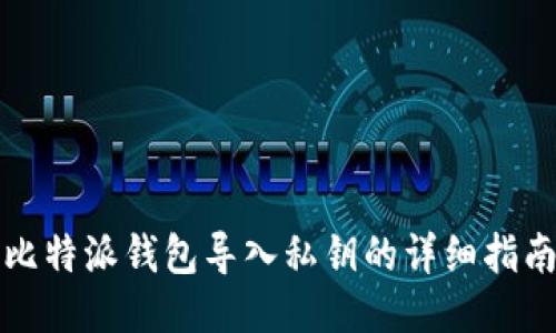 比特派钱包导入私钥的详细指南