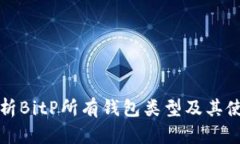 全面解析BitP所有钱包类型及其使用指