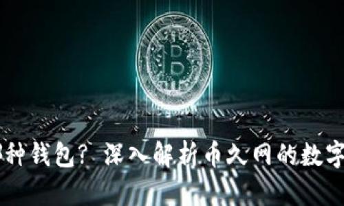 币久网使用哪种钱包? 深入解析币久网的数字资产存储方案