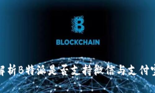 全面解析B特派是否支持微信与支付宝支付