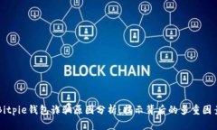 Bitpie钱包诈骗原因分析：揭示背后的多