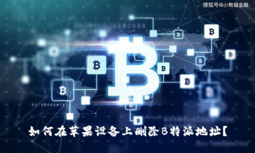 如何在苹果设备上删除B特派地址?