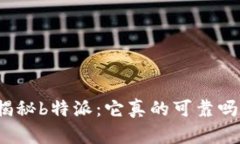 揭秘b特派：它真的可靠吗？