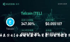波币是什么？全面解析波币的背景、功