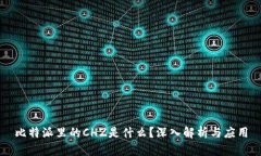 比特派里的CHZ是什么？深入解析与应用