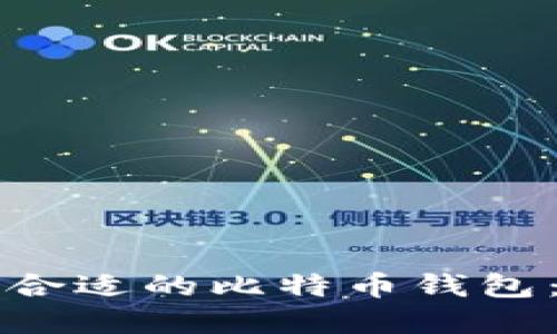 如何选择合适的比特币钱包:全面指南