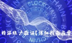 如何进行比特派账户验证？详细指南与