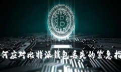 如何应对比特派钱包丢失的紧急指南