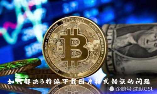 如何解决B特派下载图片格式错误的问题