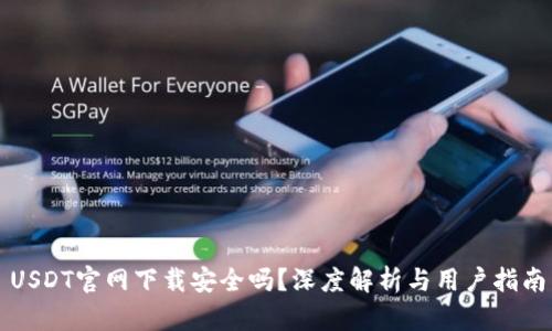 USDT官网下载安全吗?深度解析与用户指南