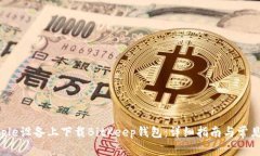 如何在Apple设备上下载BitKeep钱包：详细