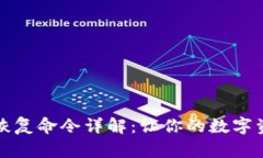 比特币钱包恢复命令详解：让你的数字