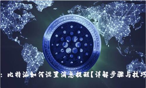 : 比特派如何设置消息提醒?详解步骤与技巧