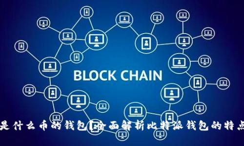 比特派是什么币的钱包?全面解析比特派钱包的特点与使用