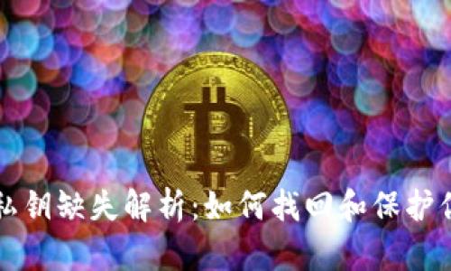 比特币钱包私钥缺失解析:如何找回和保护你的数字资产