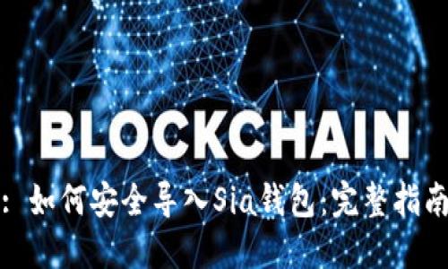 : 如何安全导入Sia钱包:完整指南