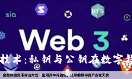 深入理解区块链技术:私钥与公钥在数字钱包中的关键作用