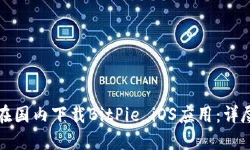 如何在国内下载BitPie iOS应用:详尽指南