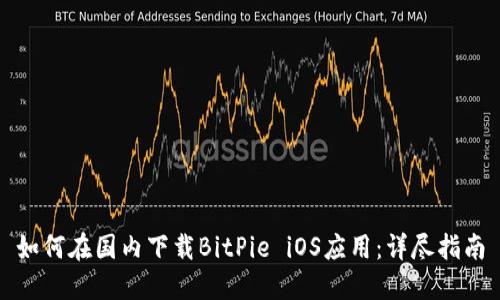 如何在国内下载BitPie iOS应用:详尽指南