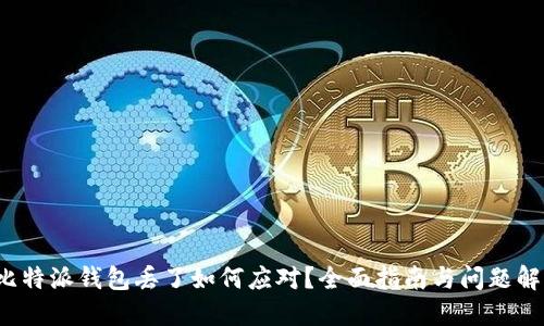 比特派钱包丢了如何应对?全面指南与问题解答