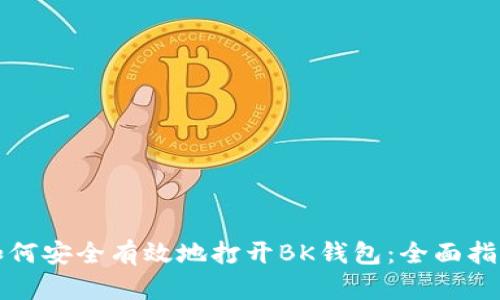 如何安全有效地打开BK钱包:全面指南