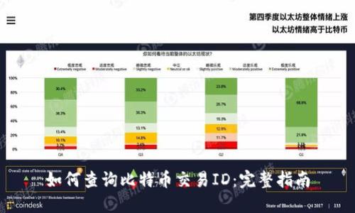 如何查询比特币交易ID:完整指南