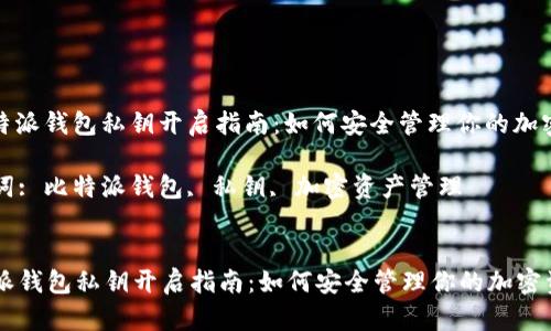: 比特派钱包私钥开启指南:如何安全管理你的加密资产
关键词: 比特派钱包, 私钥, 加密资产管理
比特派钱包私钥开启指南:如何安全管理你的加密资产
