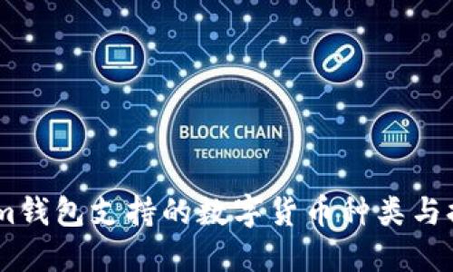 Token.im钱包支持的数字货币种类与提币指南