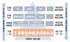 解决黑币钱包不同步问题的全面指南