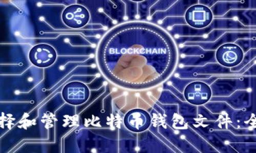 如何选择和管理比特币钱包文件：全面指南