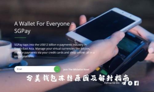 分美钱包冻结原因及解封指南