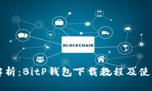 详细解析：BitP钱包下载教程及使用指南