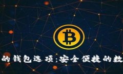 了解BCC币支持的钱包选项：安全便捷的数字货币