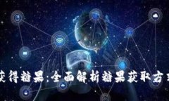 比特派如何获得糖果：全面解析糖果获