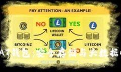 全面解析DAT钱包：安全存储与大数据时代的价值