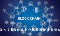 深入了解B特派合作机构的职责与价值