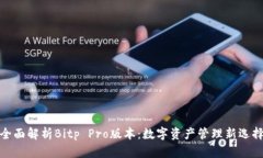 全面解析Bitp Pro版本：数字资产管理新