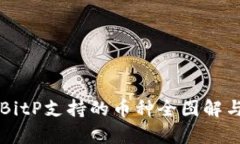 2023年B特派BitP支持的币种全图解与投资