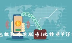 BK钱包提取中本聪币（比特币）详细教