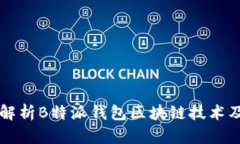 全面解析B特派钱包区块链技术及应用