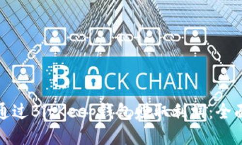 如何通过BitKeep钱包赚取利润：全面教程