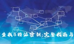 如何查找B特派密钥：完整指南与技巧