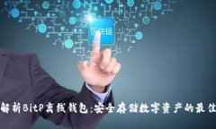 全面解析BitP离线钱包：安全存储数字