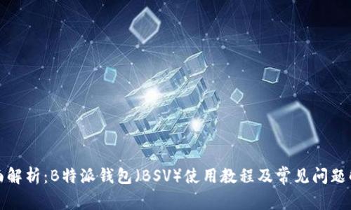 全面解析：B特派钱包（BSV）使用教程及常见问题解答