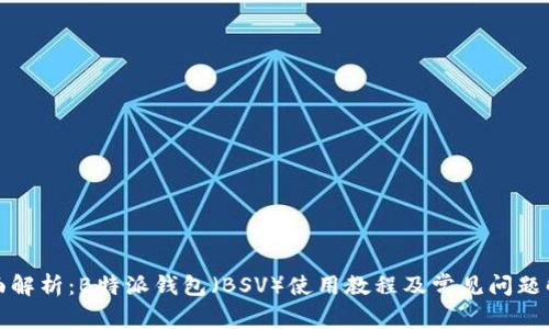 全面解析：B特派钱包（BSV）使用教程及常见问题解答