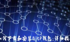 如何下载和安装BitP钱包：详细指南