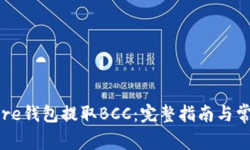 如何通过Core钱包提取BCC：完整指南与常见问题解答