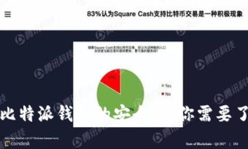 全面解析比特派钱包的安全性：你需要了解的一切